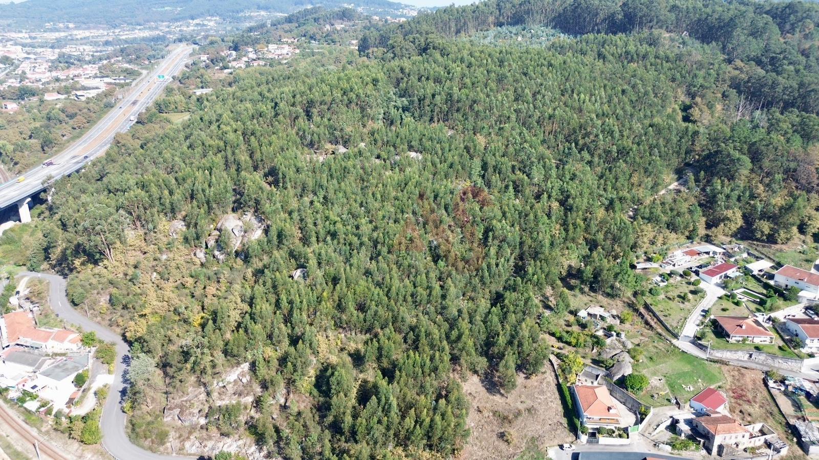 Terreno Florestal com 8.727 m² em Nespereira, Guimarães