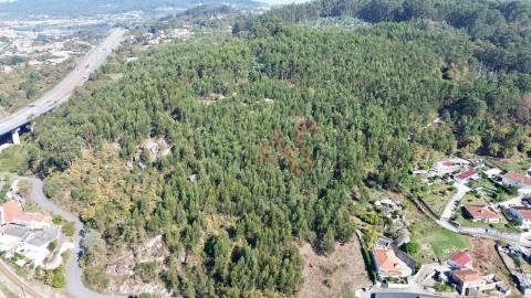 Terreno Florestal com 8.727 m² em Nespereira, Guimarães