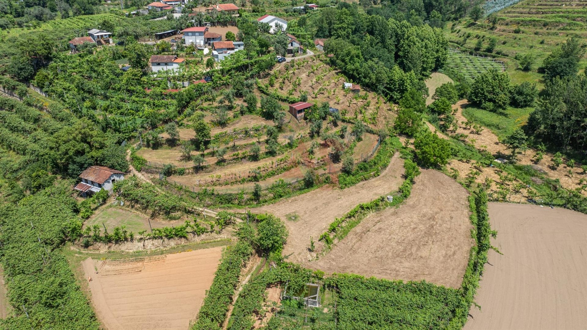 Terreno com 5.000 m² com Potêncial De Construção