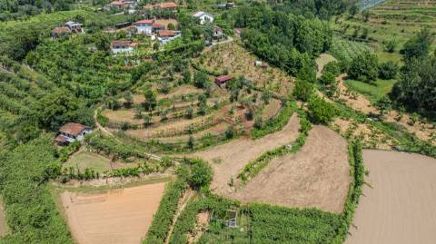 Terreno com 5.000 m² com Potêncial De Construção