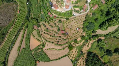 Terreno com 5.000 m² com Potêncial De Construção