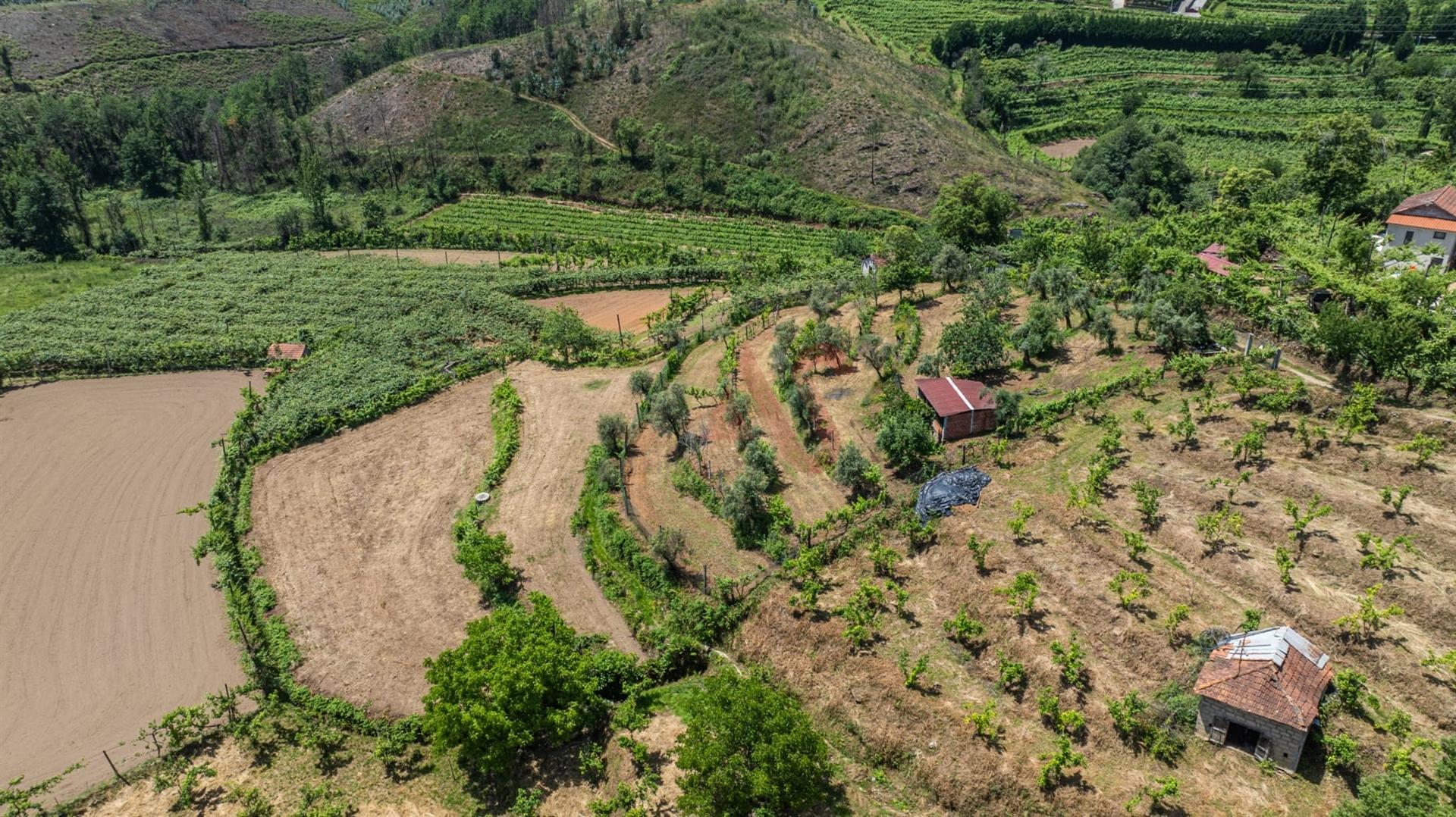 Terreno com 5.000 m² com Potêncial De Construção