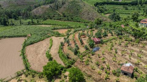 Terreno com 5.000 m² com Potêncial De Construção