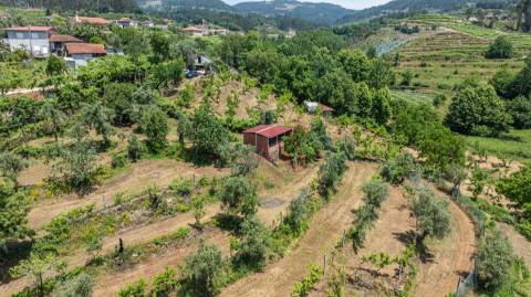 Terreno com 5.000 m² com Potêncial De Construção