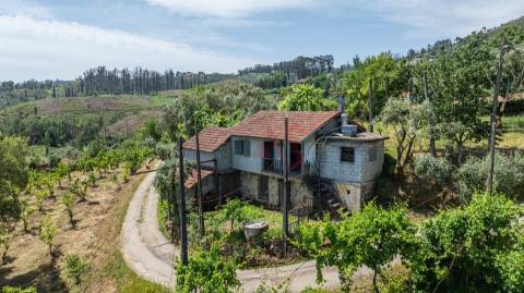 Moradia T2 para Restauro com Terrenos Adjacentes com Cerca de 5.000 m²
