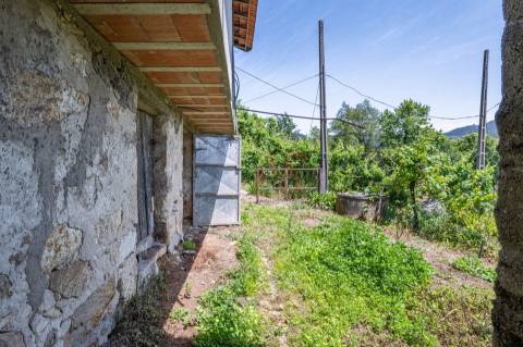 Moradia T2 para Restauro com Terrenos Adjacentes com Cerca de 5.000 m²