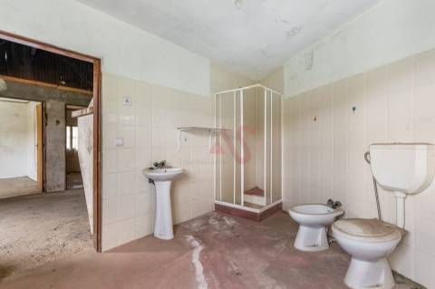 Moradia T2 para Restauro com Terrenos Adjacentes com Cerca de 5.000 m²