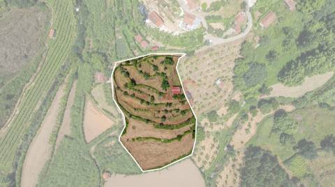 Moradia T2 para Restauro com Terrenos Adjacentes com Cerca de 5.000 m²