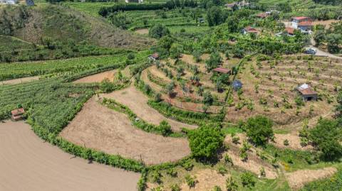 Moradia T2 para Restauro com Terrenos Adjacentes com Cerca de 5.000 m²