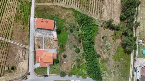 Terreno Urbano para Construção | 1.652,22 m² | São Lourenço do Bairro – Anadia