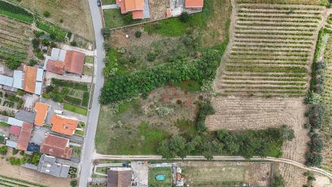 Terreno Urbano para Construção | 1.652,22 m² | São Lourenço do Bairro – Anadia