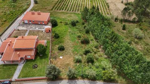 Terreno Urbano para Construção | 1.652,22 m² | São Lourenço do Bairro – Anadia