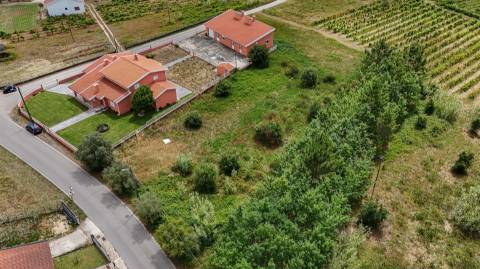 Terreno Urbano para Construção | 1.652,22 m² | São Lourenço do Bairro – Anadia
