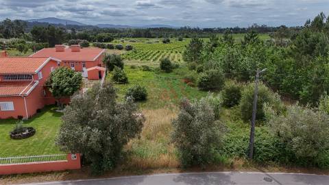 Terreno Urbano para Construção | 1.652,22 m² | São Lourenço do Bairro – Anadia