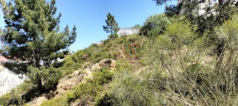 Lote de terreno a 3 kms da cidade de Santarém, no coração da Lezíria Ribatejana