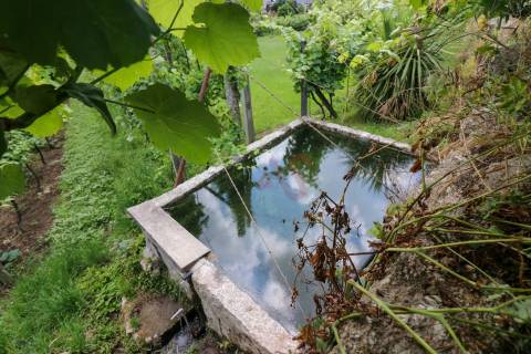 Quinta com 6125 m2 em Pencelo, Guimarães