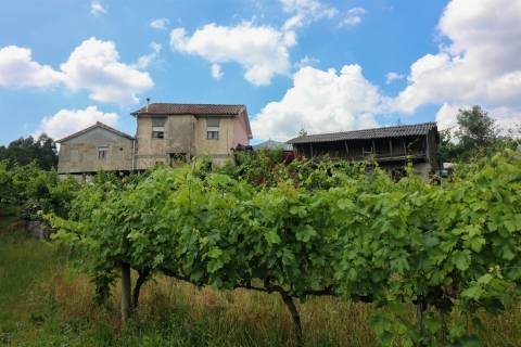 Quinta com 6125 m2 em Pencelo, Guimarães