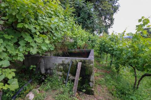 Quinta com 6125 m2 em Pencelo, Guimarães