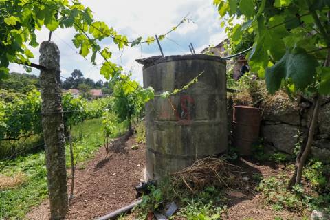 Quinta com 6125 m2 em Pencelo, Guimarães