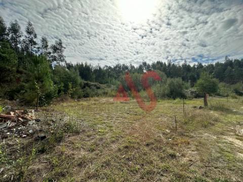 Terreno com 15.329m2 em Sande São Lourenço, Guimarães