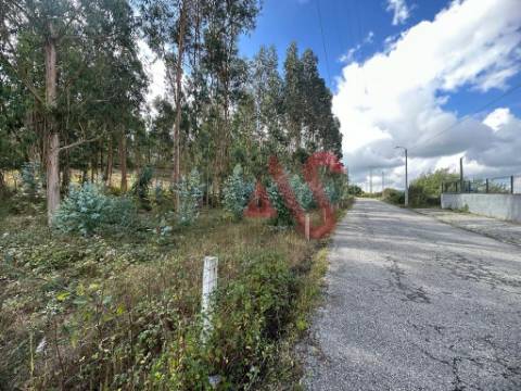 Terreno com 15.329m2 em Sande São Lourenço, Guimarães