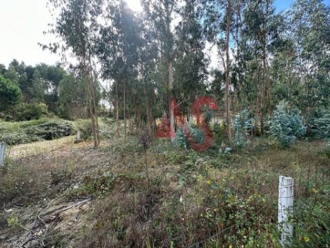 Terreno com 15.329m2 em Sande São Lourenço, Guimarães