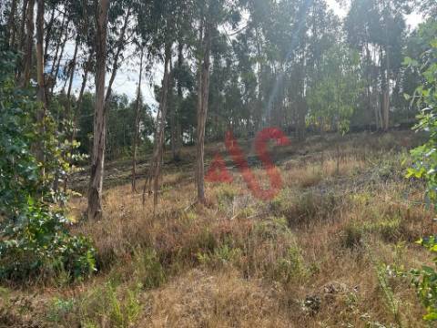 Terreno com 15.329m2 em Sande São Lourenço, Guimarães