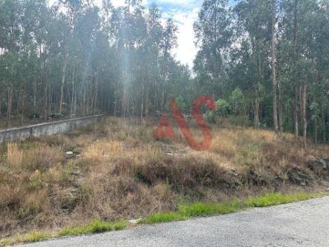 Terreno com 15.329m2 em Sande São Lourenço, Guimarães