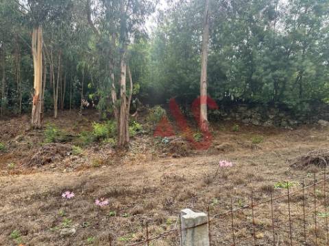Terreno com 15.329m2 em Sande São Lourenço, Guimarães