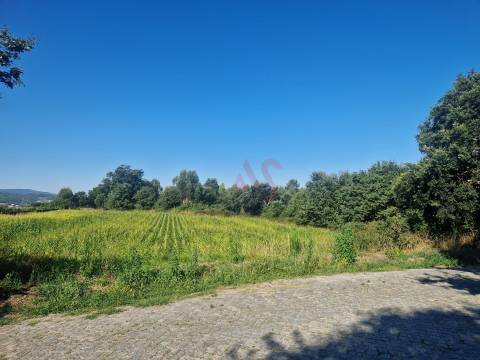 Terreno com 15800 m2 com possibilidade de construção em Serzedelo, Guimarães