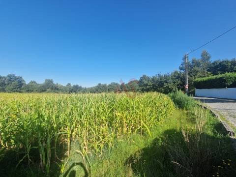 Terreno com 15800 m2 com possibilidade de construção em Serzedelo, Guimarães