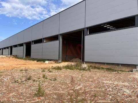 Pavilhão industrial NOVO, num só piso,  com 9 entradas para Camiões TIR , com 28.000 m2 em Águeda
