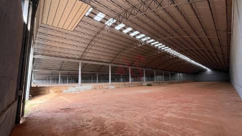 Pavilhão industrial NOVO, num só piso,  com 9 entradas para Camiões TIR , com 28.000 m2 em Águeda
