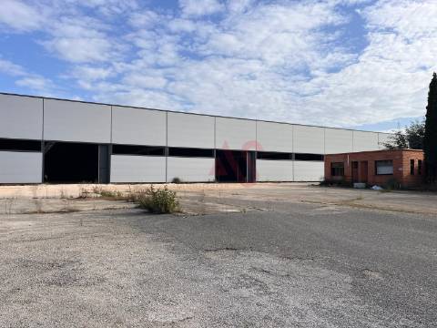 Pavilhão industrial NOVO, num só piso,  com 9 entradas para Camiões TIR , com 28.000 m2 em Águeda