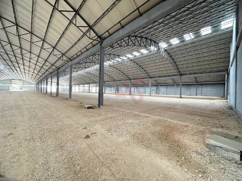 Pavilhão industrial NOVO, num só piso,  com 9 entradas para Camiões TIR , com 28.000 m2 em Águeda