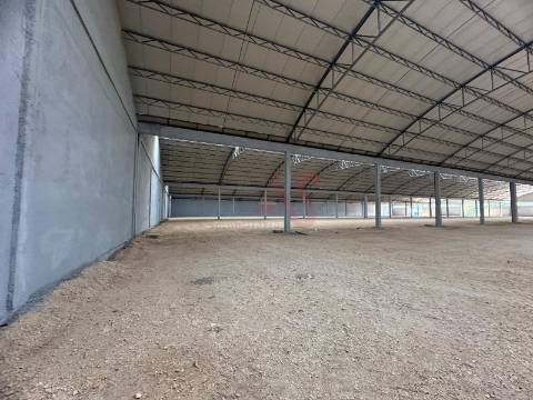 Pavilhão industrial NOVO, num só piso,  com 9 entradas para Camiões TIR , com 28.000 m2 em Águeda