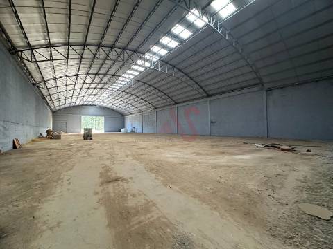 Pavilhão industrial NOVO, num só piso,  com 9 entradas para Camiões TIR , com 28.000 m2 em Águeda