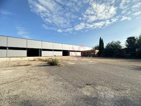 Pavilhão industrial NOVO, num só piso,  com 9 entradas para Camiões TIR , com 28.000 m2 em Águeda