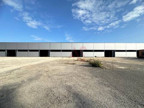Pavilhão industrial NOVO, num só piso,  com 9 entradas para Camiões TIR , com 28.000 m2 em Águeda