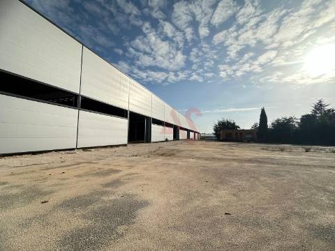 Pavilhão industrial NOVO, num só piso,  com 9 entradas para Camiões TIR , com 28.000 m2 em Águeda