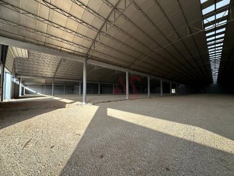 Pavilhão industrial NOVO, num só piso,  com 9 entradas para Camiões TIR , com 28.000 m2 em Águeda