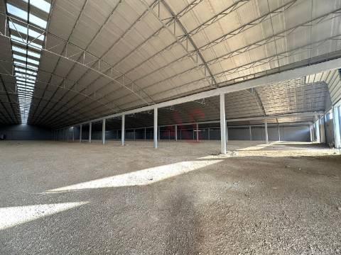 Pavilhão industrial NOVO, num só piso,  com 9 entradas para Camiões TIR , com 28.000 m2 em Águeda