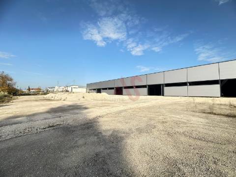 Pavilhão industrial NOVO, num só piso,  com 9 entradas para Camiões TIR , com 28.000 m2 em Águeda