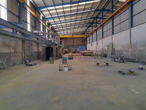 Armazém industrial com 5783 m2 em Vale de Cambra