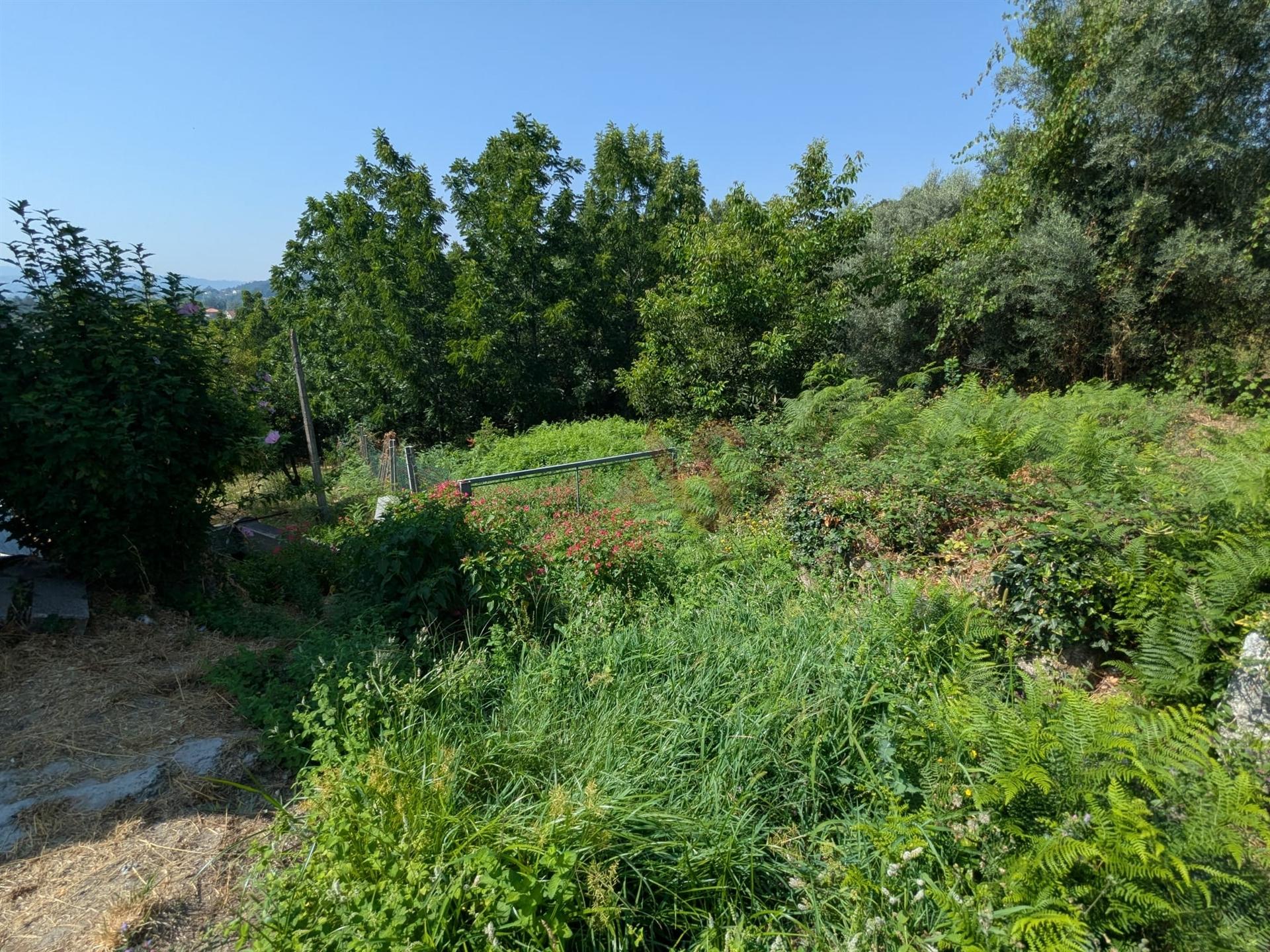 Terreno Rústico com 612,76 m² em Travassós, Fafe – Inserido em Zona de Construção Habitacional