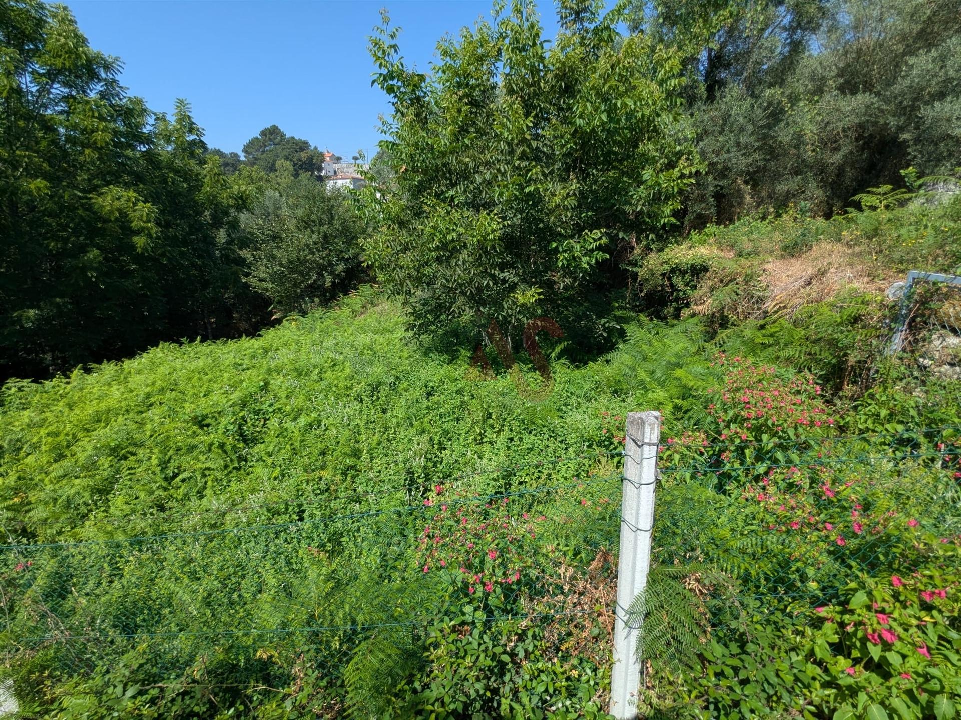 Terreno Rústico com 612,76 m² em Travassós, Fafe – Inserido em Zona de Construção Habitacional