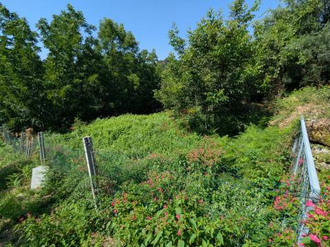 Terreno Rústico com 612,76 m² em Travassós, Fafe – Inserido em Zona de Construção Habitacional