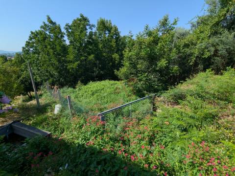 Terreno Rústico com 612,76 m² em Travassós, Fafe – Inserido em Zona de Construção Habitacional