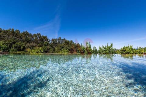 Moradia com 4 Suítes e Piscina | Queijada | Ponte de Lima