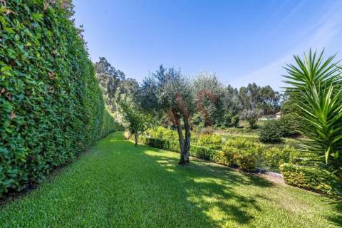 Moradia com 4 Suítes e Piscina | Queijada | Ponte de Lima